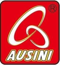 AUSINI