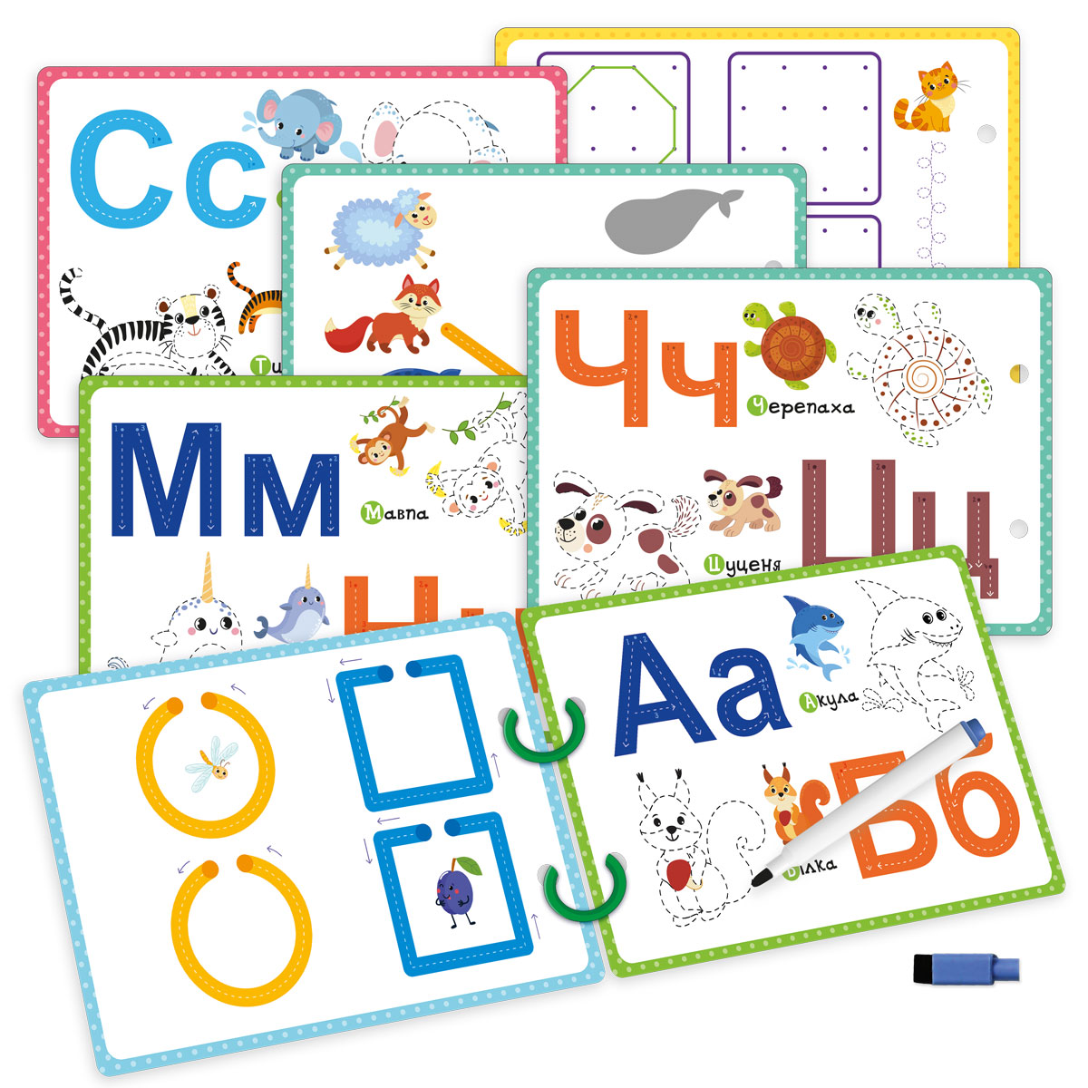 Игра развивающая карточки на кольцах пиши-стирай "Зебра", в кор. 23*17*4см, ТМ Vladi Toys, Украина